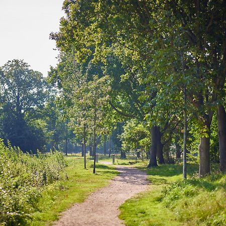 Villa Noordzee Renesse Zewnętrze zdjęcie